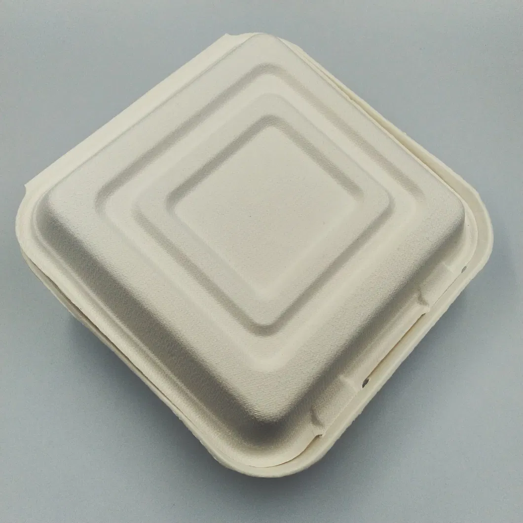 100% Environmental Degradable Disposable Bagasse Food Box
