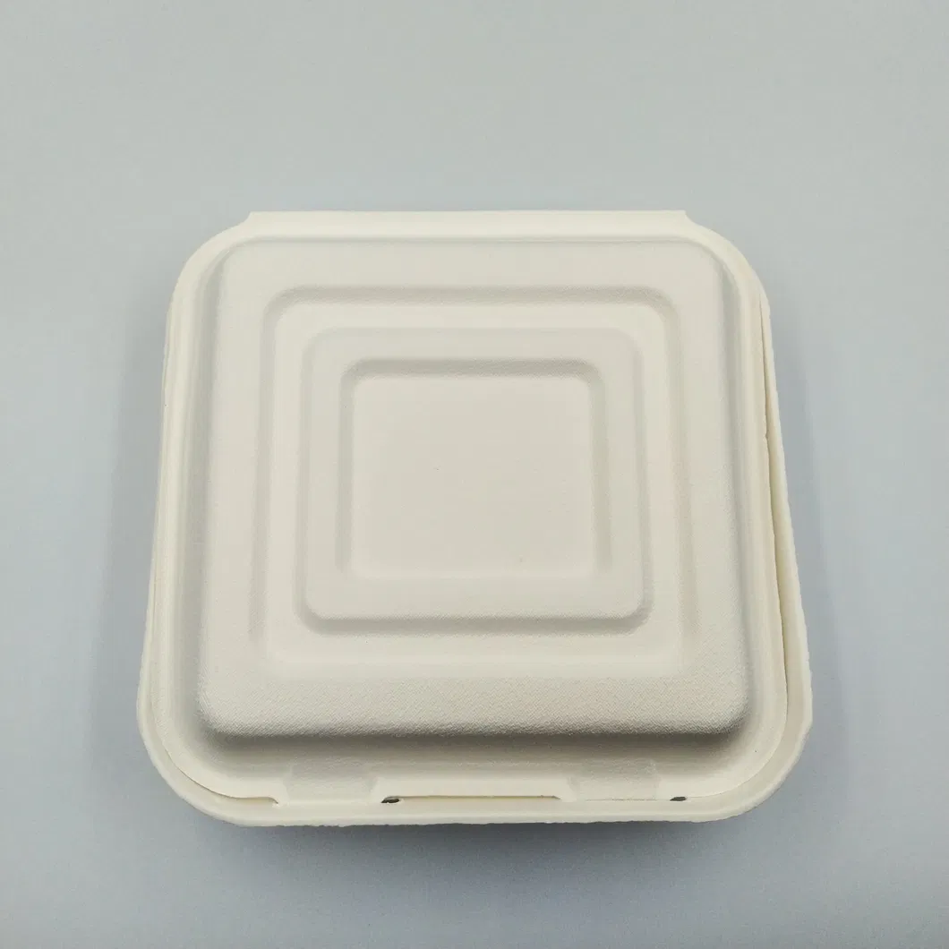 100% Environmental Degradable Disposable Bagasse Food Box