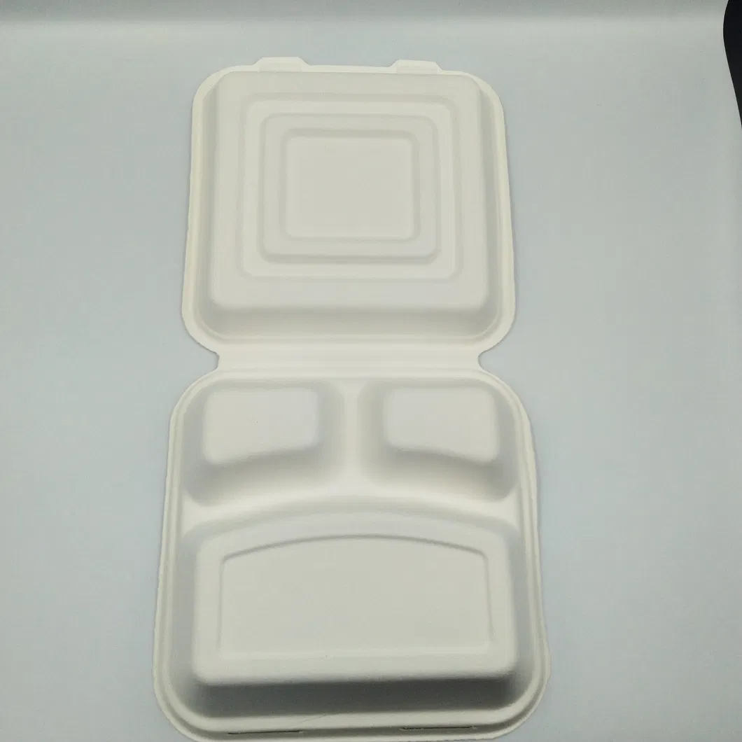 100% Environmental Degradable Disposable Bagasse Food Box