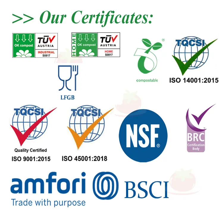 2020 Renewable Natural Fiber Sugar Cane Burger Snack Dinner 2 Containers Food Packaging Clam Shell