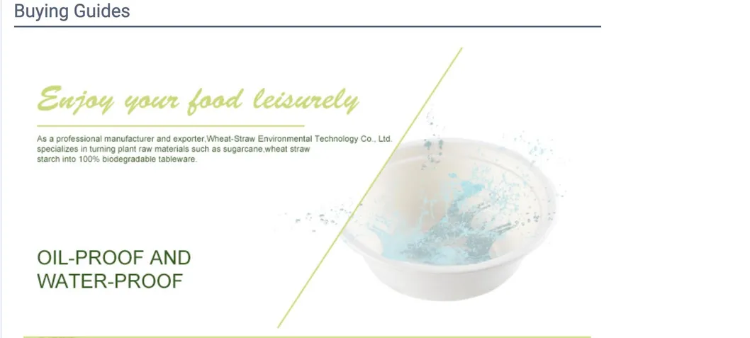 2020 Renewable Natural Fiber Sugar Cane Burger Snack Dinner 2 Containers Food Packaging Clam Shell