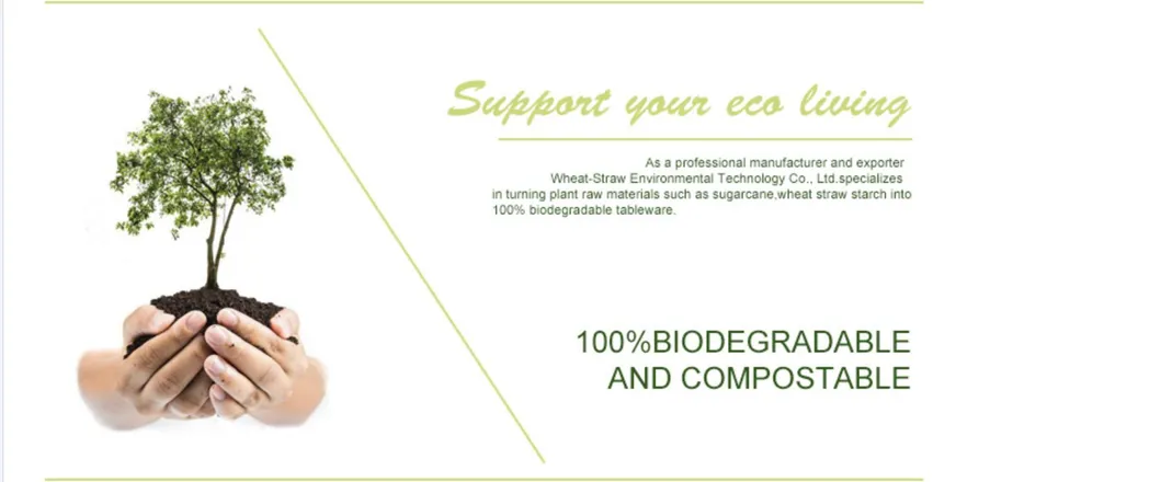 2020 Renewable Natural Fiber Sugar Cane Burger Snack Dinner 2 Containers Food Packaging Clam Shell