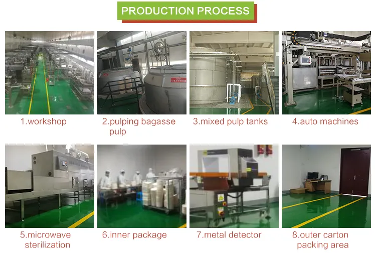 2020 Renewable Natural Fiber Sugar Cane Burger Snack Dinner 2 Containers Food Packaging Clam Shell