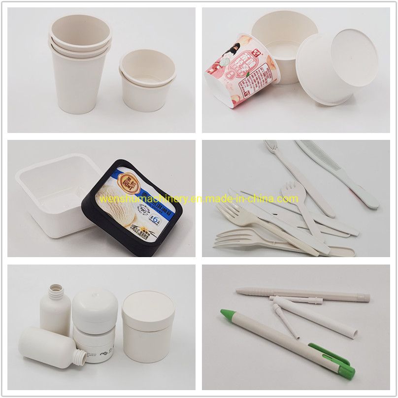 2021 Ws Bio-Degradable Food Container Disposable Takeout Plates Compostable Eco-Friendly Tableware