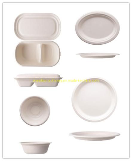 2021 Ws Bio-Degradable Food Container Disposable Takeout Plates Compostable Eco-Friendly Tableware
