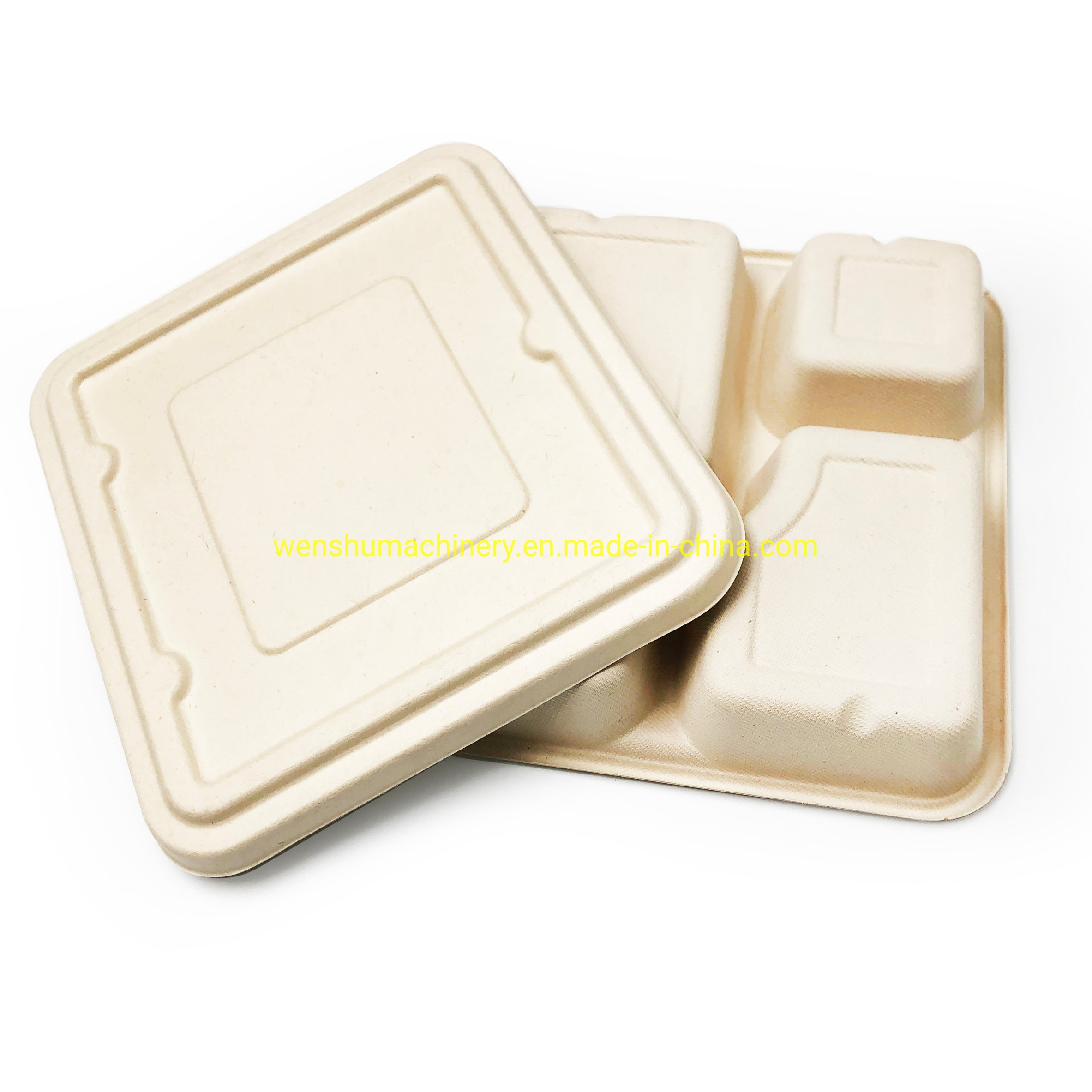 2021 Ws Bio-Degradable Food Container Disposable Takeout Plates Compostable Eco-Friendly Tableware