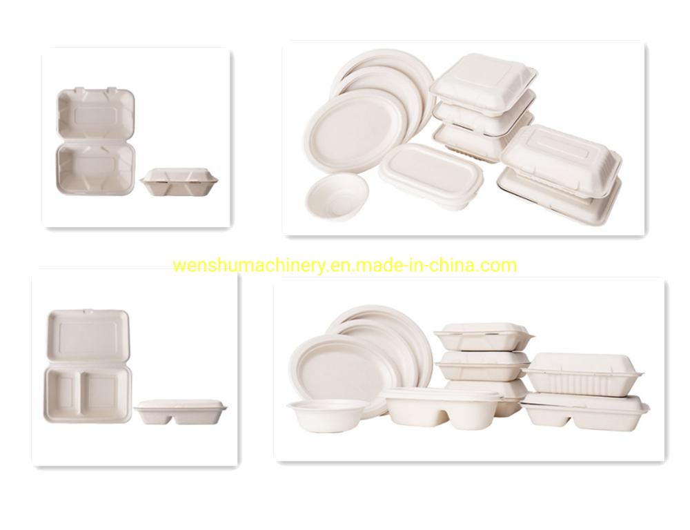 2021 Ws Bio-Degradable Food Container Disposable Takeout Plates Compostable Eco-Friendly Tableware