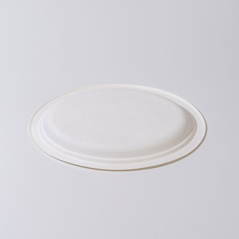 What Makes Sugarcane Pulp Oval Plate the Ideal Choice for Modern Food Packaging?