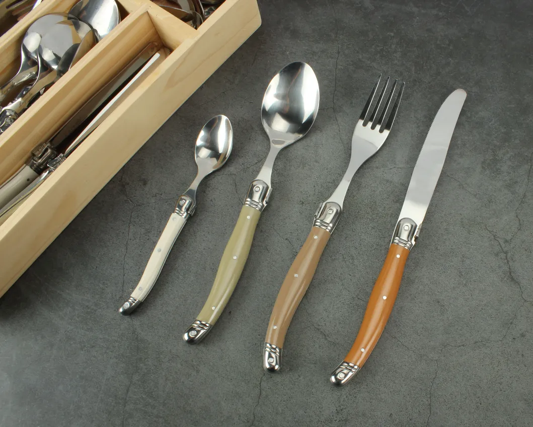 24 Pieces Laguiole Stainless Steel Flatware Set with Colorful Handle (SE-K65)