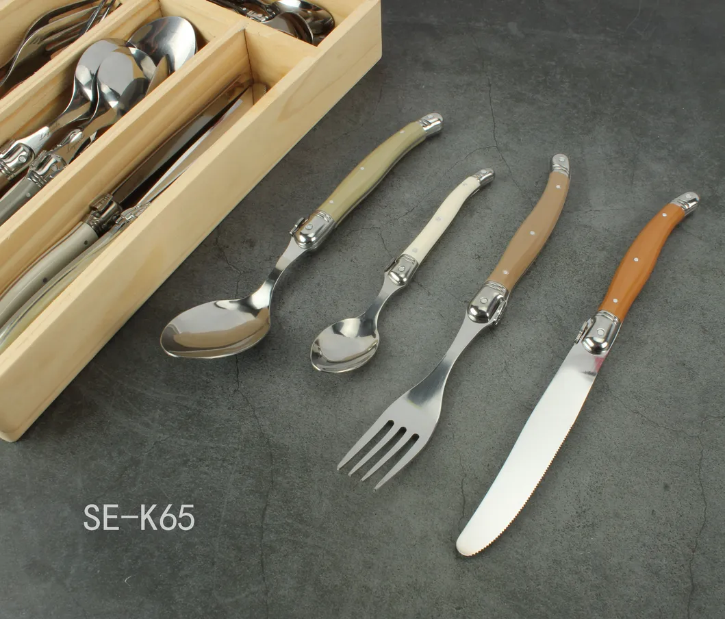 24 Pieces Laguiole Stainless Steel Flatware Set with Colorful Handle (SE-K65)