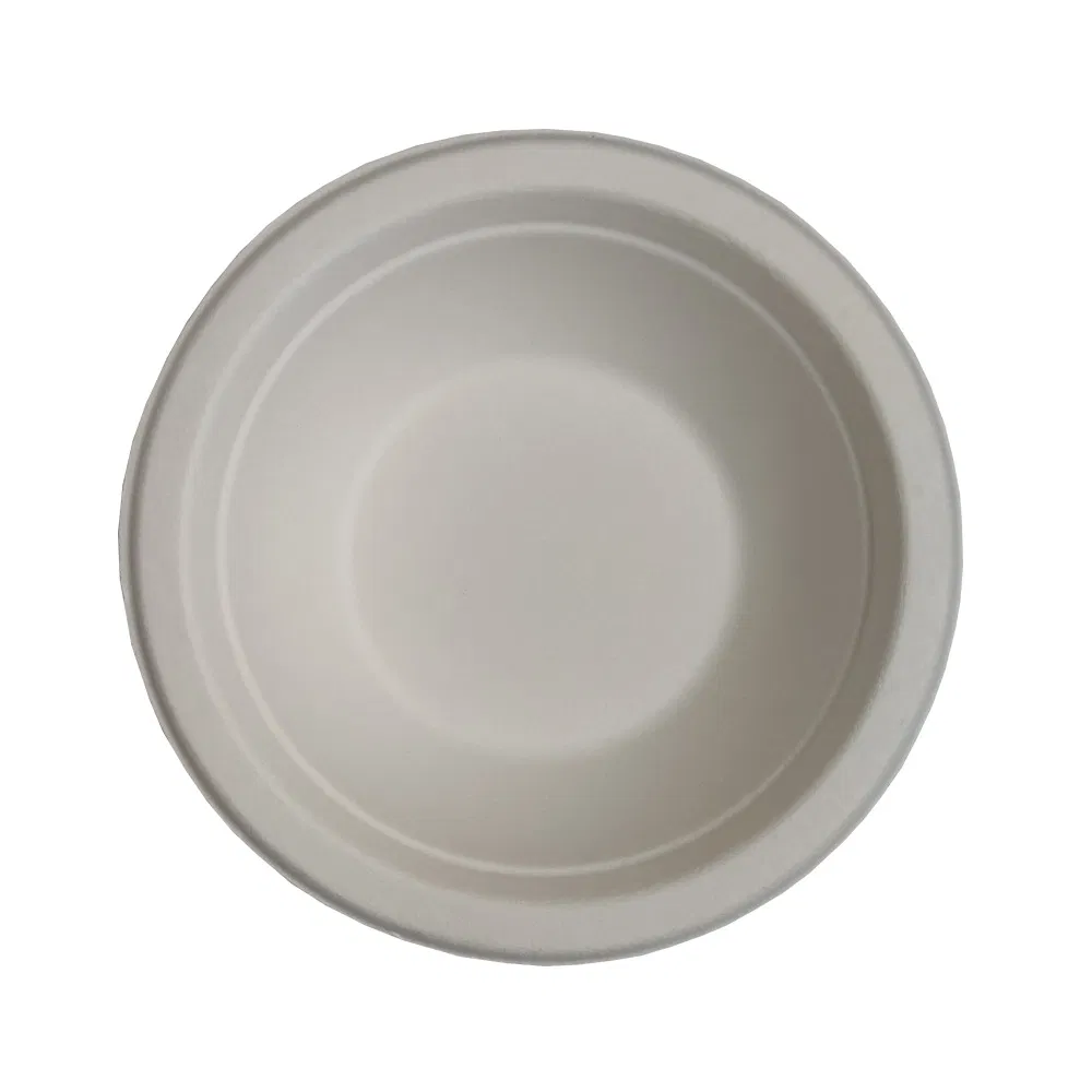 500ml 18oz Bagasse Salad Tableware Bowl with Pet Lid Cover Cookware Set