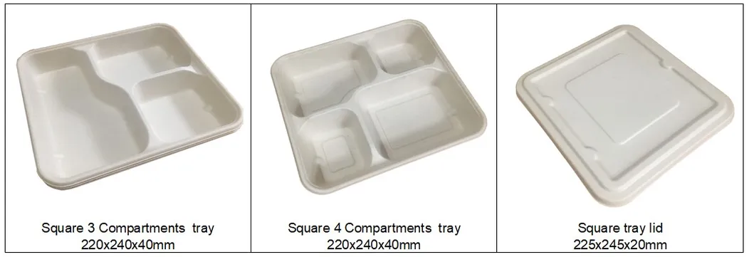850ml Single Partition Takeout Food Box with Lid, Bagasse Food Container, Disposable Biodegradable Food Box