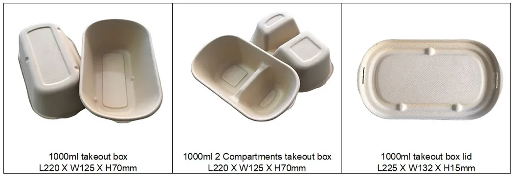 850ml Single Partition Takeout Food Box with Lid, Bagasse Food Container, Disposable Biodegradable Food Box