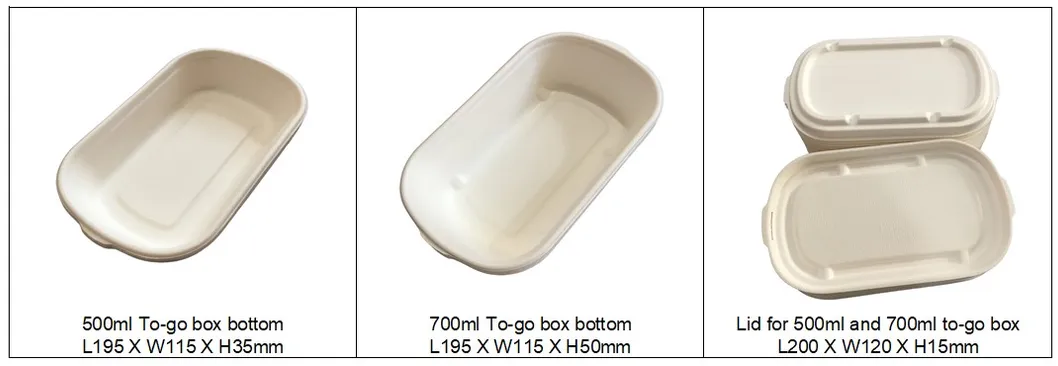 850ml Single Partition Takeout Food Box with Lid, Bagasse Food Container, Disposable Biodegradable Food Box
