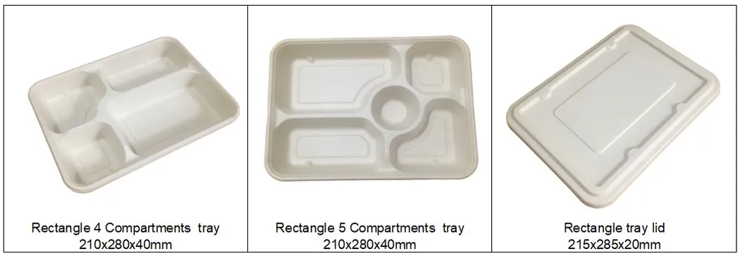 850ml Single Partition Takeout Food Box with Lid, Bagasse Food Container, Disposable Biodegradable Food Box
