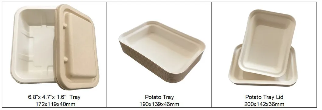 850ml Single Partition Takeout Food Box with Lid, Bagasse Food Container, Disposable Biodegradable Food Box