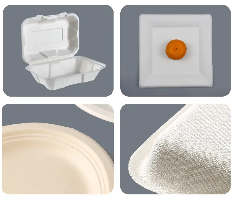 Biodegradable Compostable Disposable Degradable Eco Friendly Sugarcane Bagasse Dinnerware