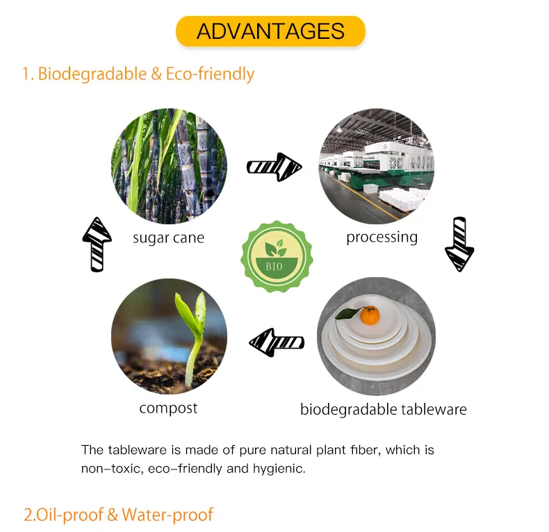 Biodegradable Compostable Disposable Degradable Eco Friendly Sugarcane Bagasse Dinnerware