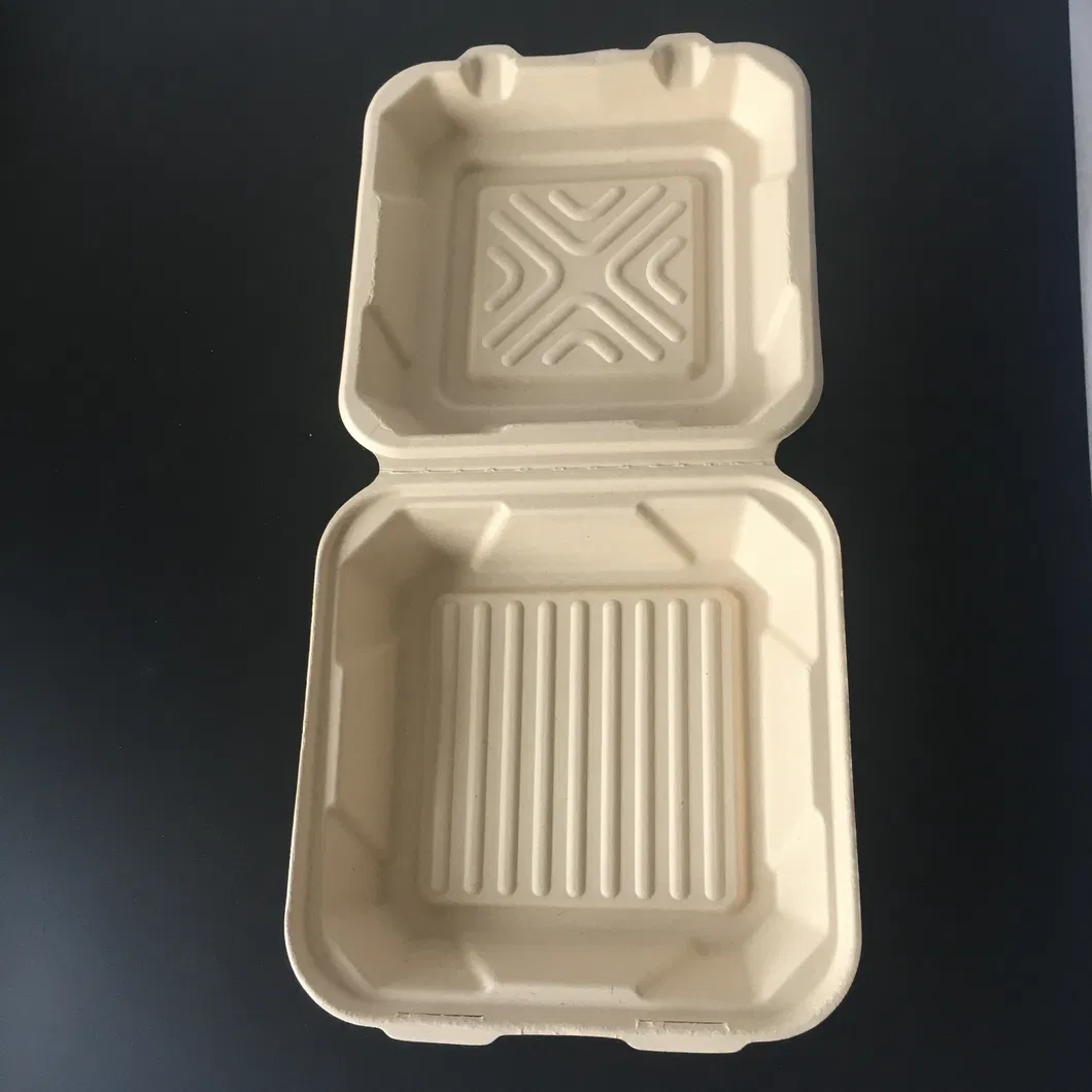 Biodegradable Compostable Sugarcane Bagasse Paper Box with Clamshell