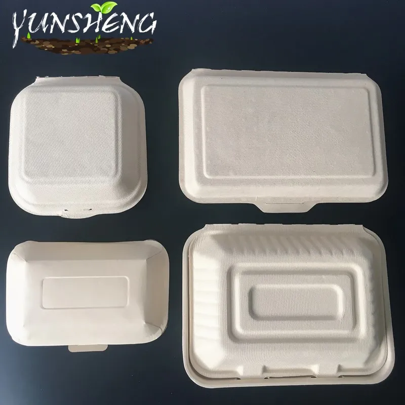 Biodegradable Compostable Sugarcane Bagasse Paper Box with Clamshell