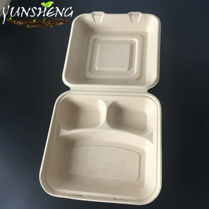 Biodegradable Compostable Sugarcane Bagasse Paper Box with Clamshell