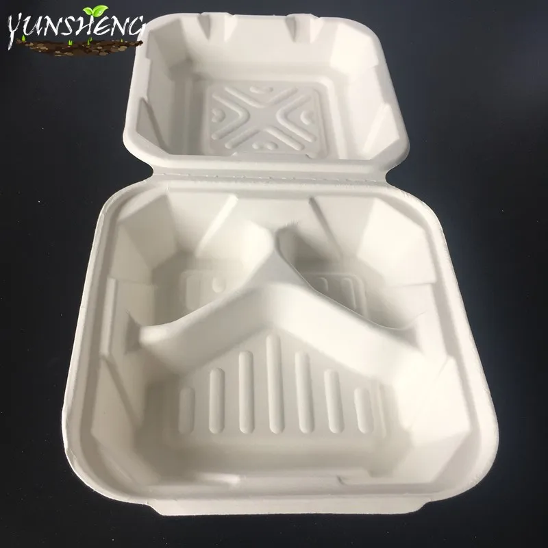 Biodegradable Compostable Sugarcane Bagasse Paper Box with Clamshell