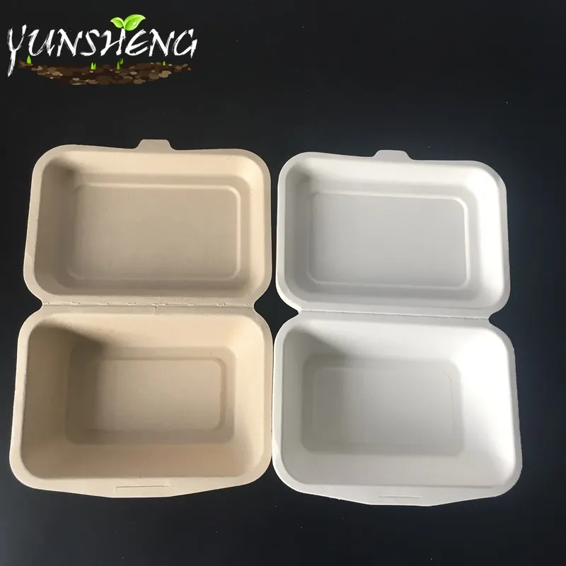 Biodegradable Compostable Sugarcane Bagasse Paper Box with Clamshell