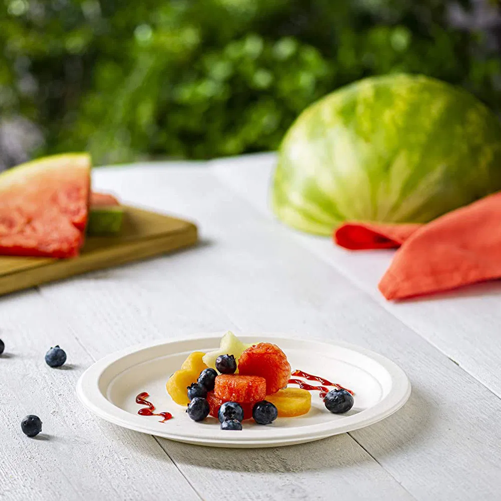 Biodegradable Dinner Plate Can Be Customized Bagasse Pulp Plate Disposable Dessert Plate
