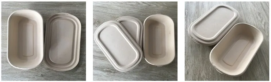 Biodegradable Disposable 850ml Food Container with Lid