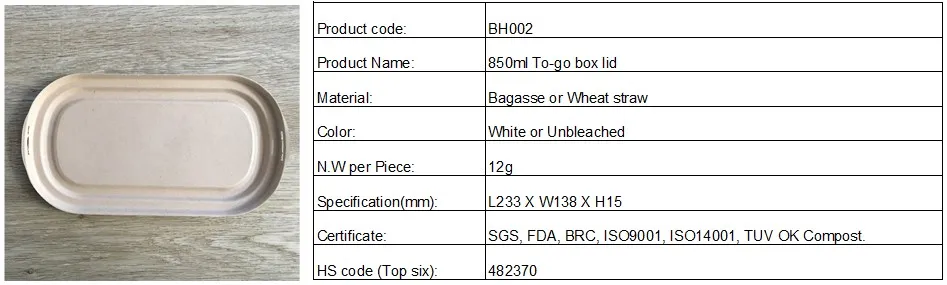 Biodegradable Disposable 850ml Food Container with Lid