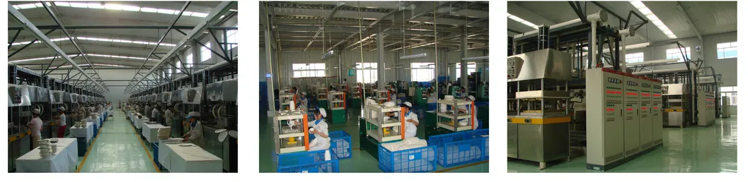 Biodegradable Disposable 850ml Food Container with Lid