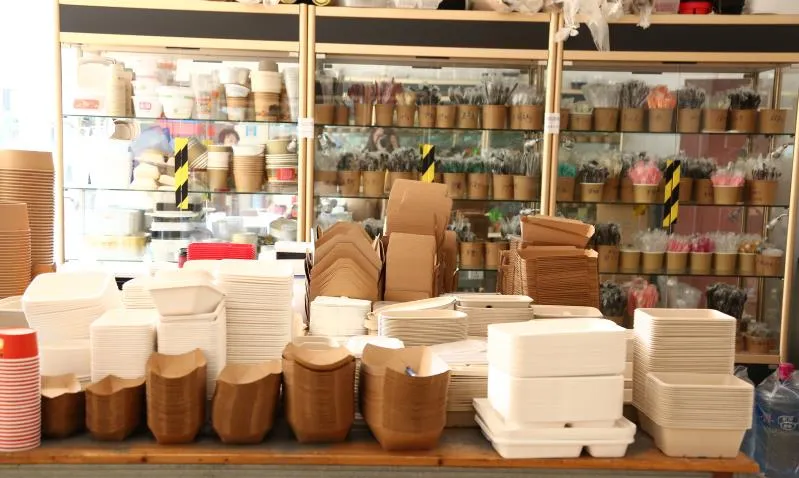 Biodegradable Disposable White Color Bagasse Bowl with Lid