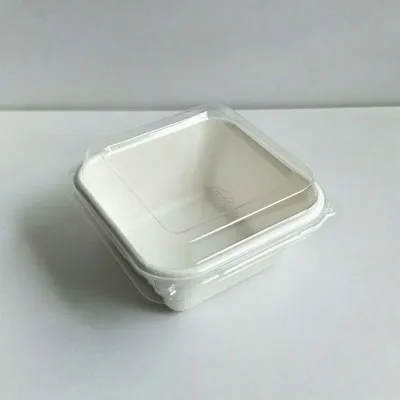 Biodegradable Food Packaging Bagasse 250ml Square Box, Sugar Cane Dinner Box