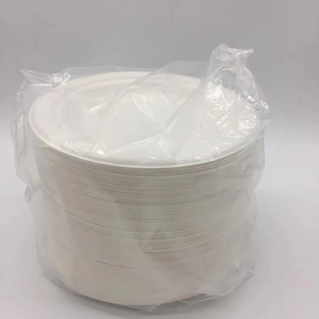 Biodegradable Food Packaging Bagasse 250ml Square Box, Sugar Cane Dinner Box