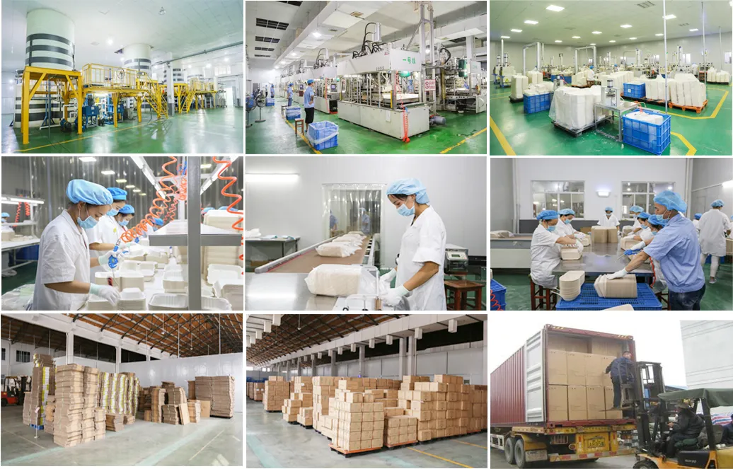 Biodegradable Food Packaging Bagasse 250ml Square Box, Sugar Cane Dinner Box