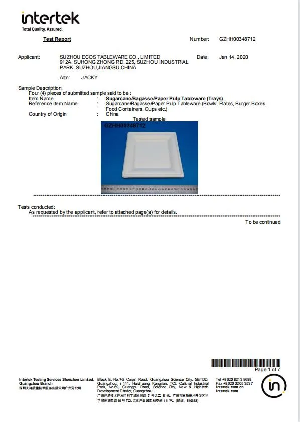 Biodegradable Food Packaging Bagasse 250ml Square Box, Sugar Cane Dinner Box