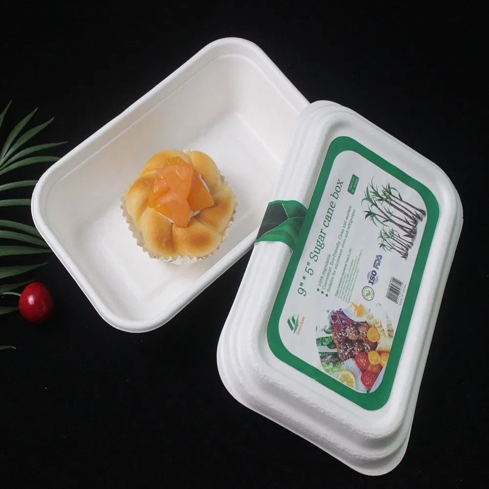 Biodegradable PP Clamshell Food Box/ Disposable PP Lunch Box Bento Box