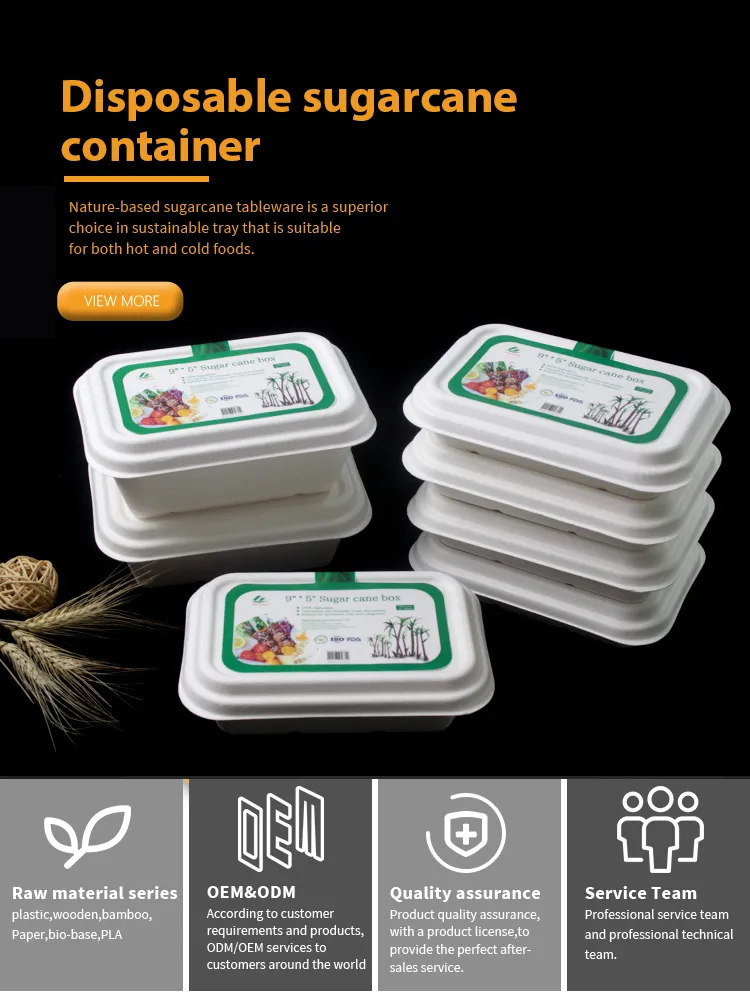 Biodegradable PP Clamshell Food Box/ Disposable PP Lunch Box Bento Box