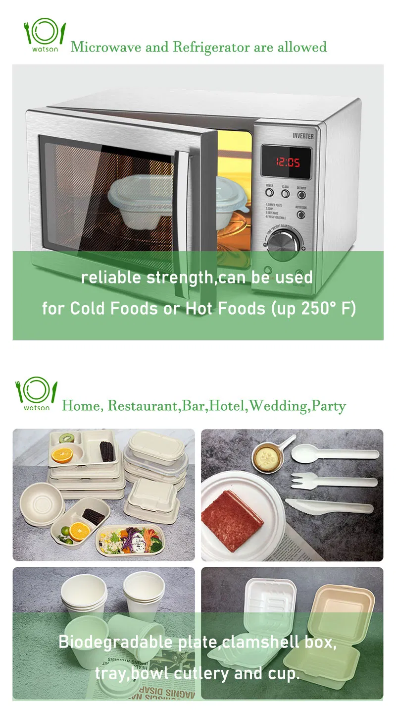 Box Packaging Snack Eco-Friendly Meal Box Oil and Water Resistant Dinner Container