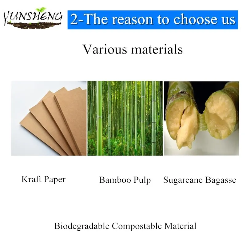 Compostable Disposable Kraft or Bamboo Pulp Paper Bowl for Soup/Salad/Fastfood