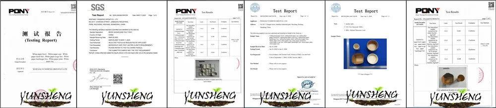 Compostable Disposable Paper Food Boxes with Clamshell for Fastfood Just Like Hamburger or Fries Food etc.