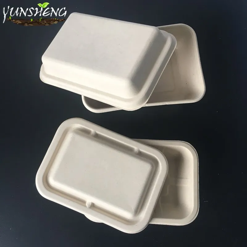 Compostable Disposable Wheat Straw or Sugarcane Bagasse or Bamboo Pulp Paper Rectangle Box for Takeaway Food