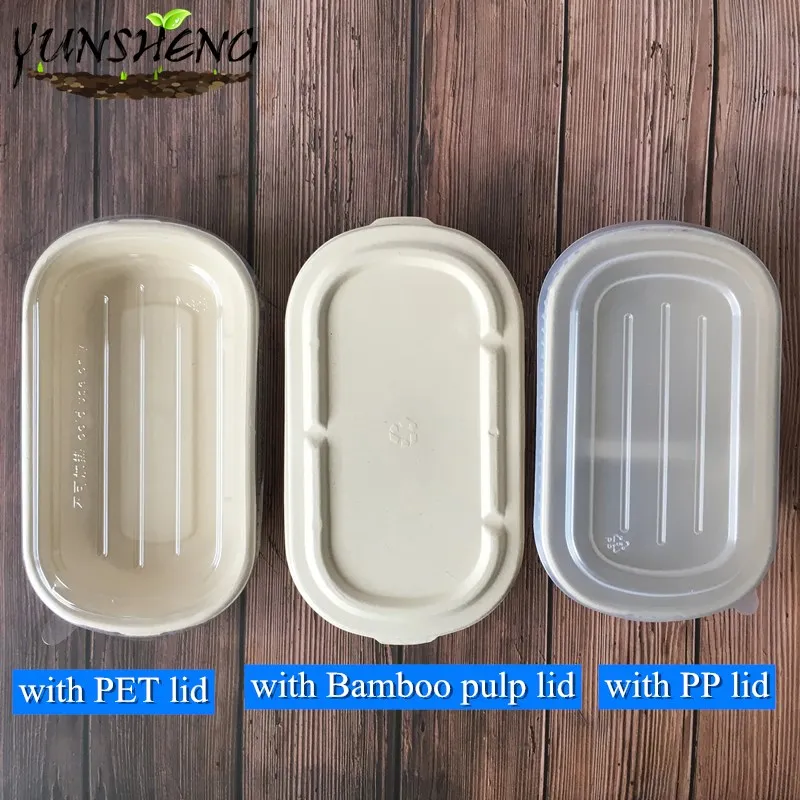 Compostable Disposable Wheat Straw or Sugarcane Bagasse or Bamboo Pulp Paper Rectangle Box for Takeaway Food