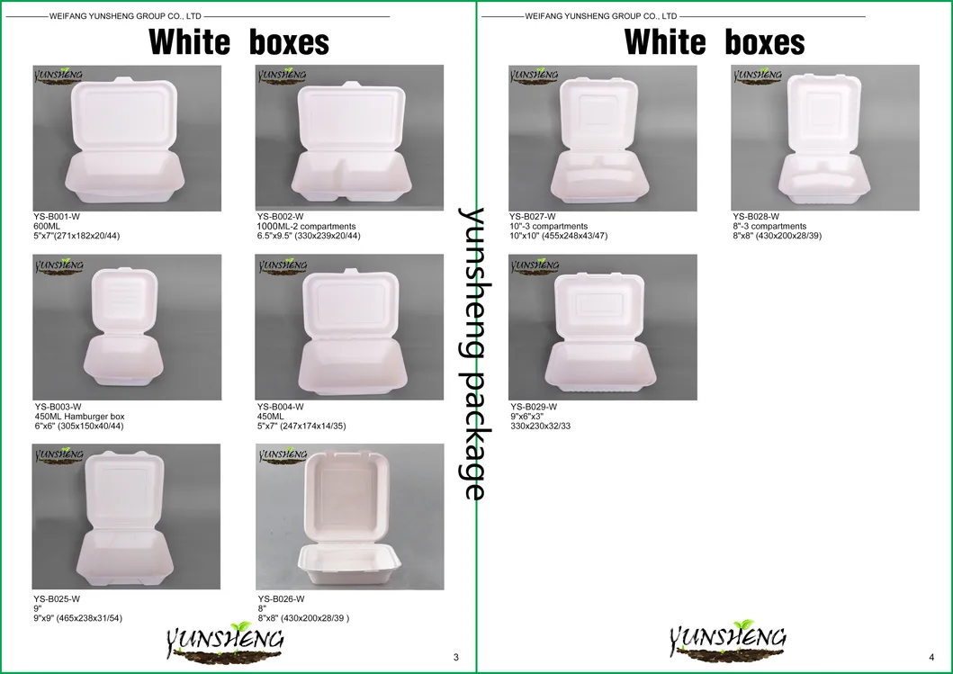Compostable Disposable Wheat Straw or Sugarcane Bagasse or Bamboo Pulp Paper Rectangle Box for Takeaway Food