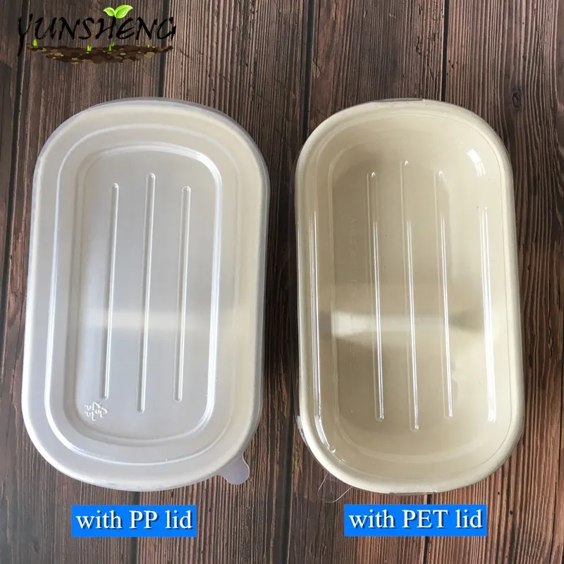 Compostable Disposable Wheat Straw or Sugarcane Bagasse or Bamboo Pulp Paper Rectangle Box for Takeaway Food