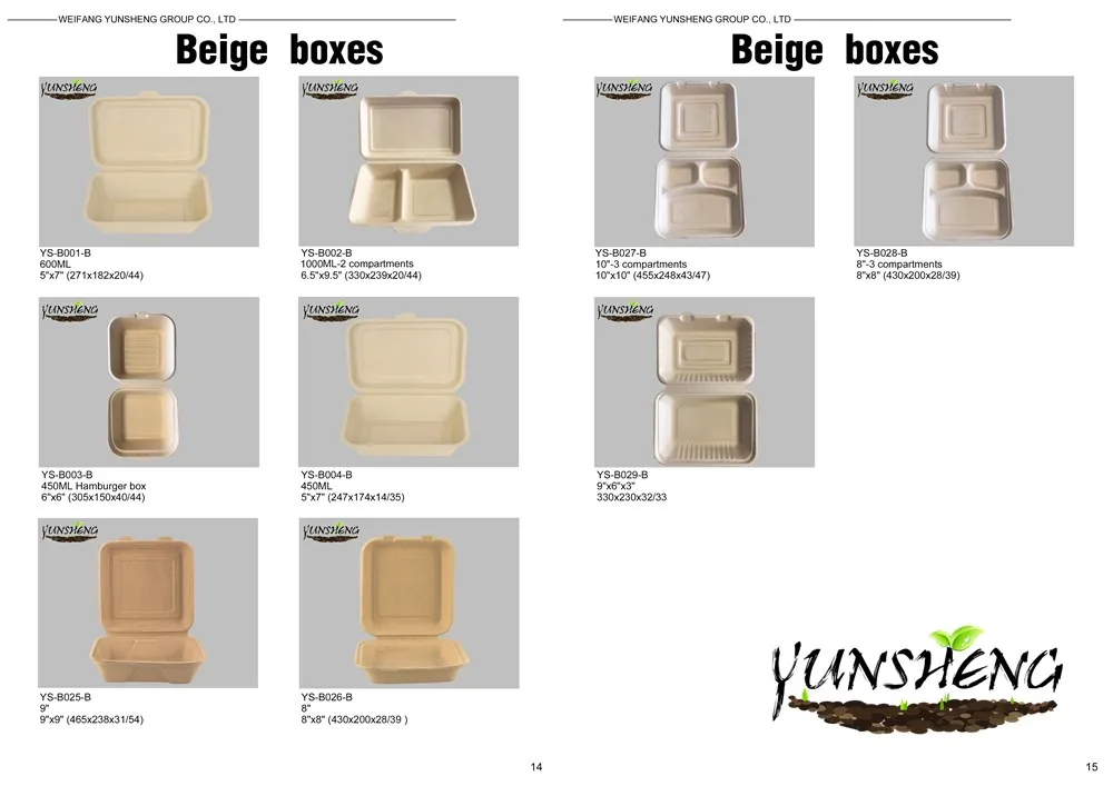 Compostable Disposable Wheat Straw or Sugarcane Bagasse or Bamboo Pulp Paper Rectangle Box for Takeaway Food