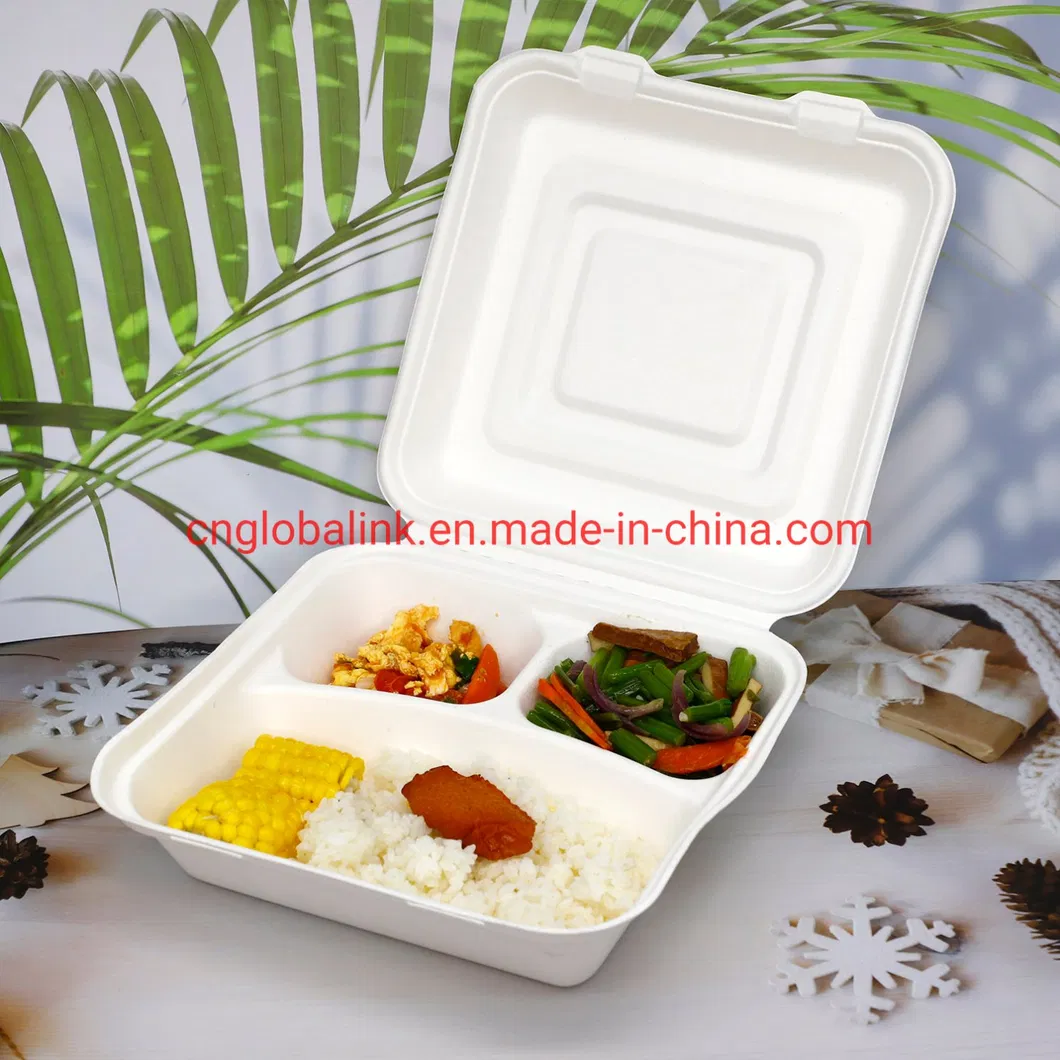 Compostable Tableware Food Packaging Fast Food Takeaway Dinner Container