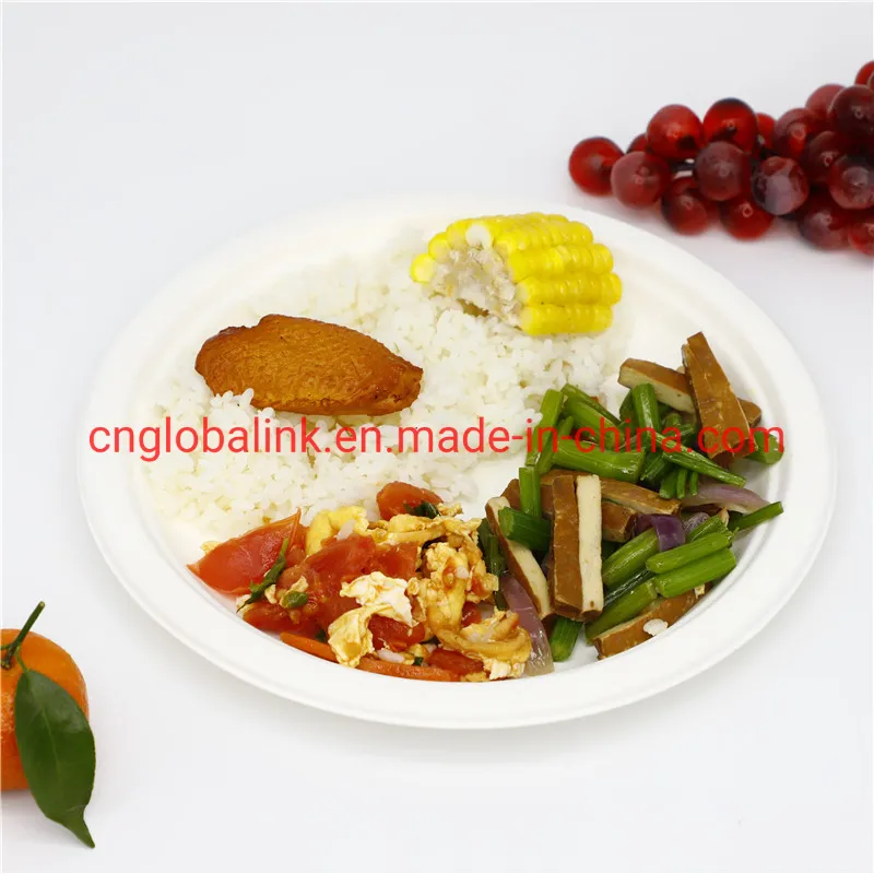 Compostable Tableware Food Packaging Fast Food Takeaway Dinner Container