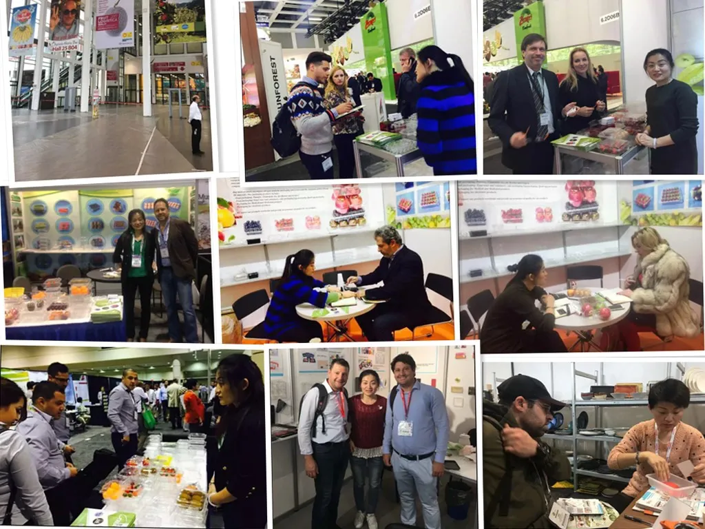 Compostable Tableware Food Packaging Fast Food Takeaway Dinner Container