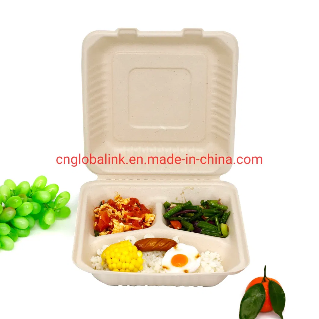 Compostable Tableware Food Packaging Fast Food Takeaway Dinner Container
